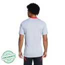 Camisa Internacional 2025/26 Treino Cinza