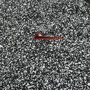 Camisa Corinthians Pré Jogo 2024